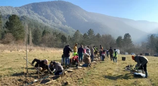 Des milliers d'arbres à planter d'ici fin mars