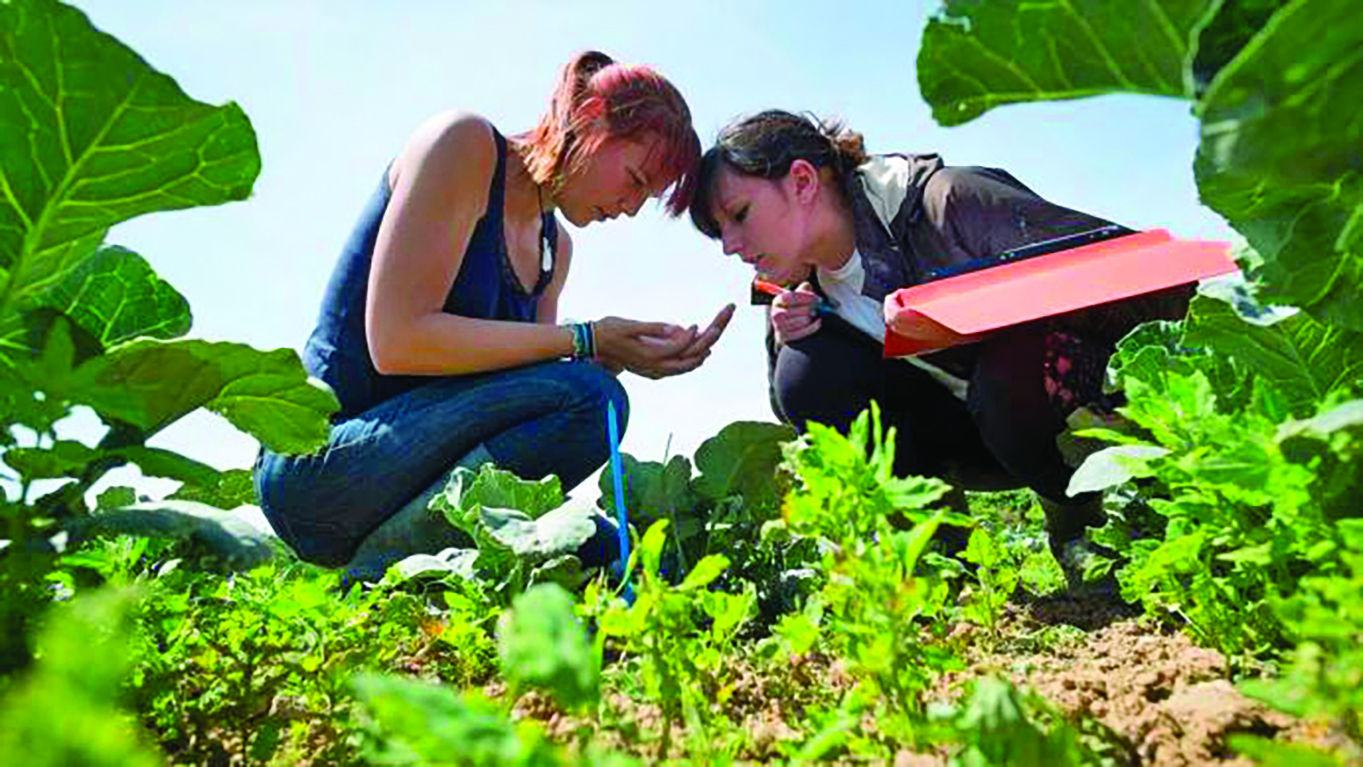 Formations agricoles  :  des portes d’entrée vers de nombreux métiers