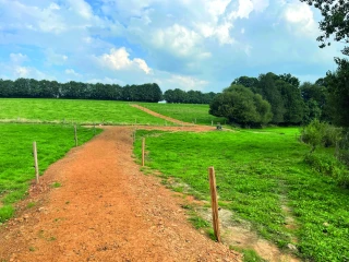 Tous les chemins mènent… à l’herbe !