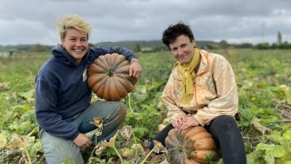 Les producteurs de courges se préparent à la foire