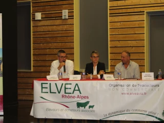 Elvea Rhône-Alpes : « Nous poursuivons notre mission de proximité et de qualité »
