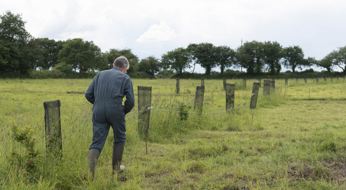 Appel à projets pour la gestion durable et la plantation de haies et d’arbres