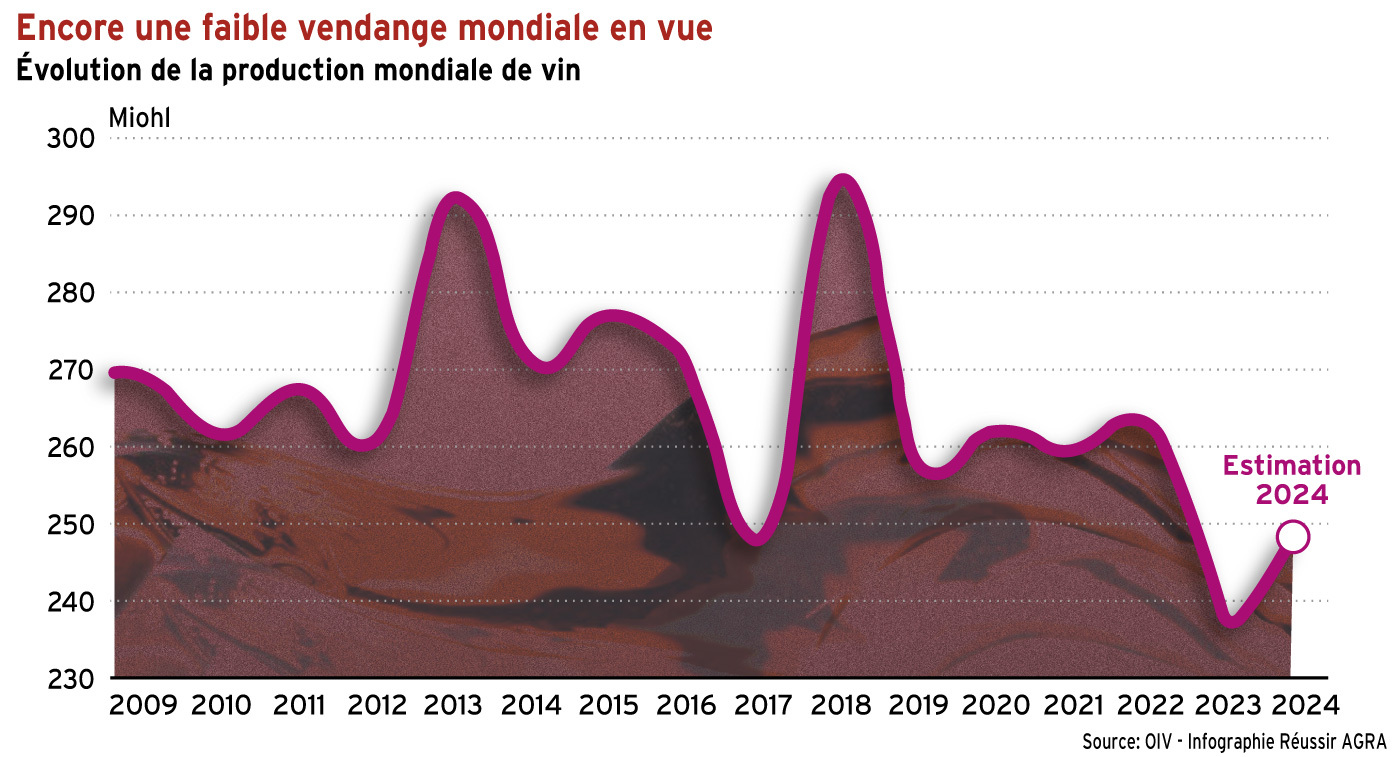 Faible vendange mondiale en vue