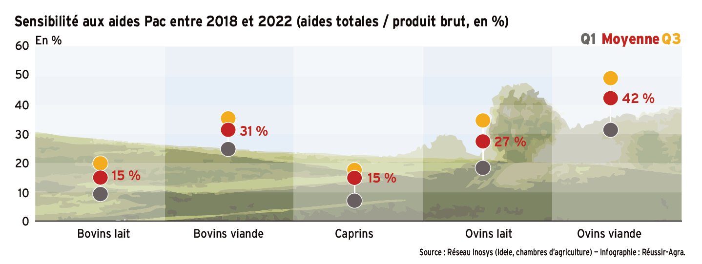 Les ovins et bovins viande sont les plus dépendants des aides Pac