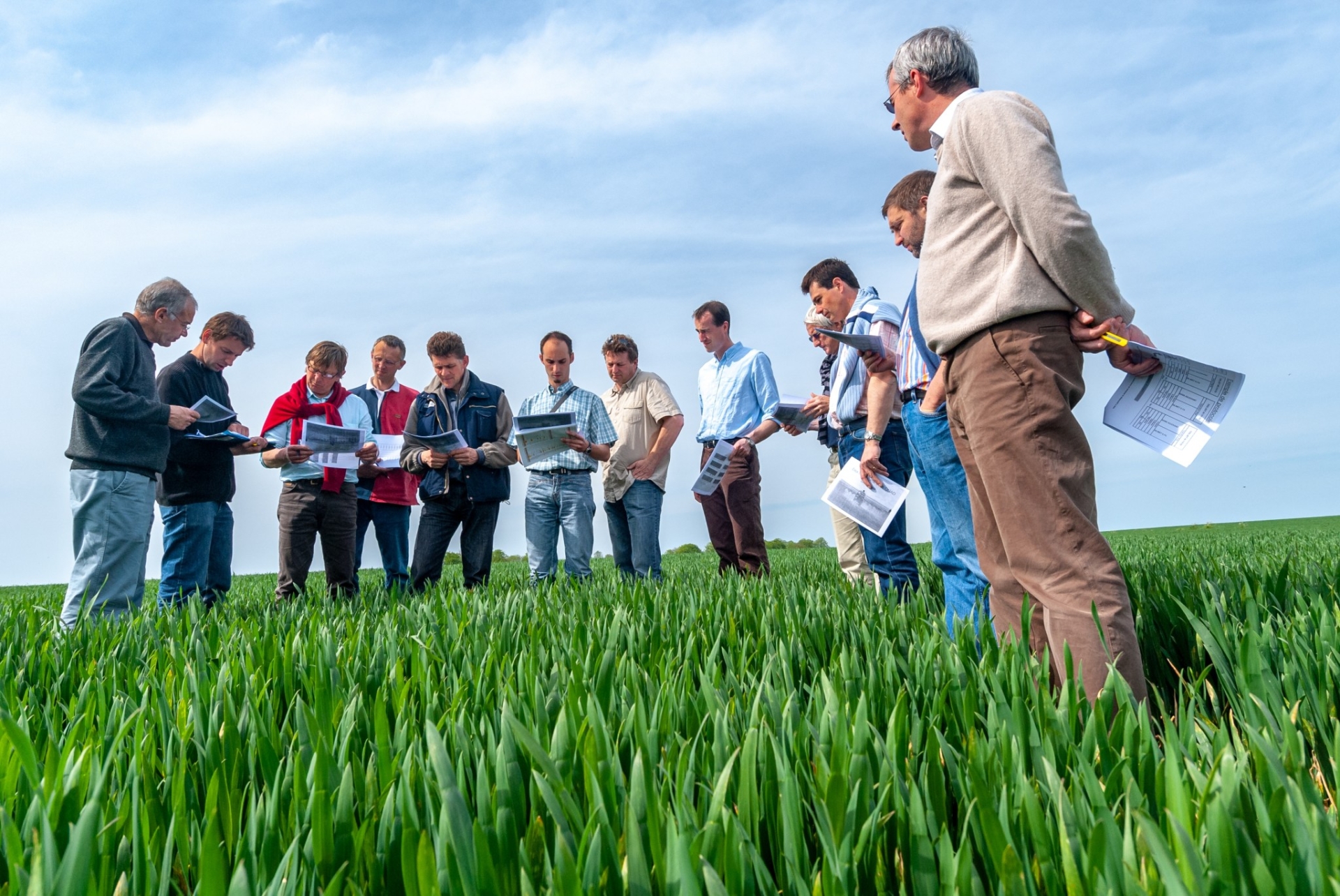 Les rôles et missions des chambres d'agriculture