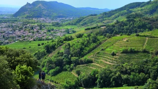 La candidature des côtes-du-rhône septentrionales au patrimoine mondial de l’Unesco se concrétise