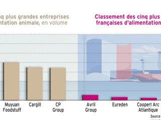 Les entreprises européennes d'alimentation animale de l'UE reculent au classement mondial