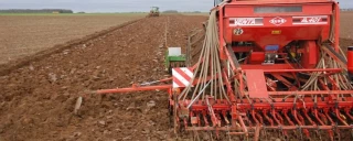 Très bonnes conditions des semis précoces des céréales d'hiver