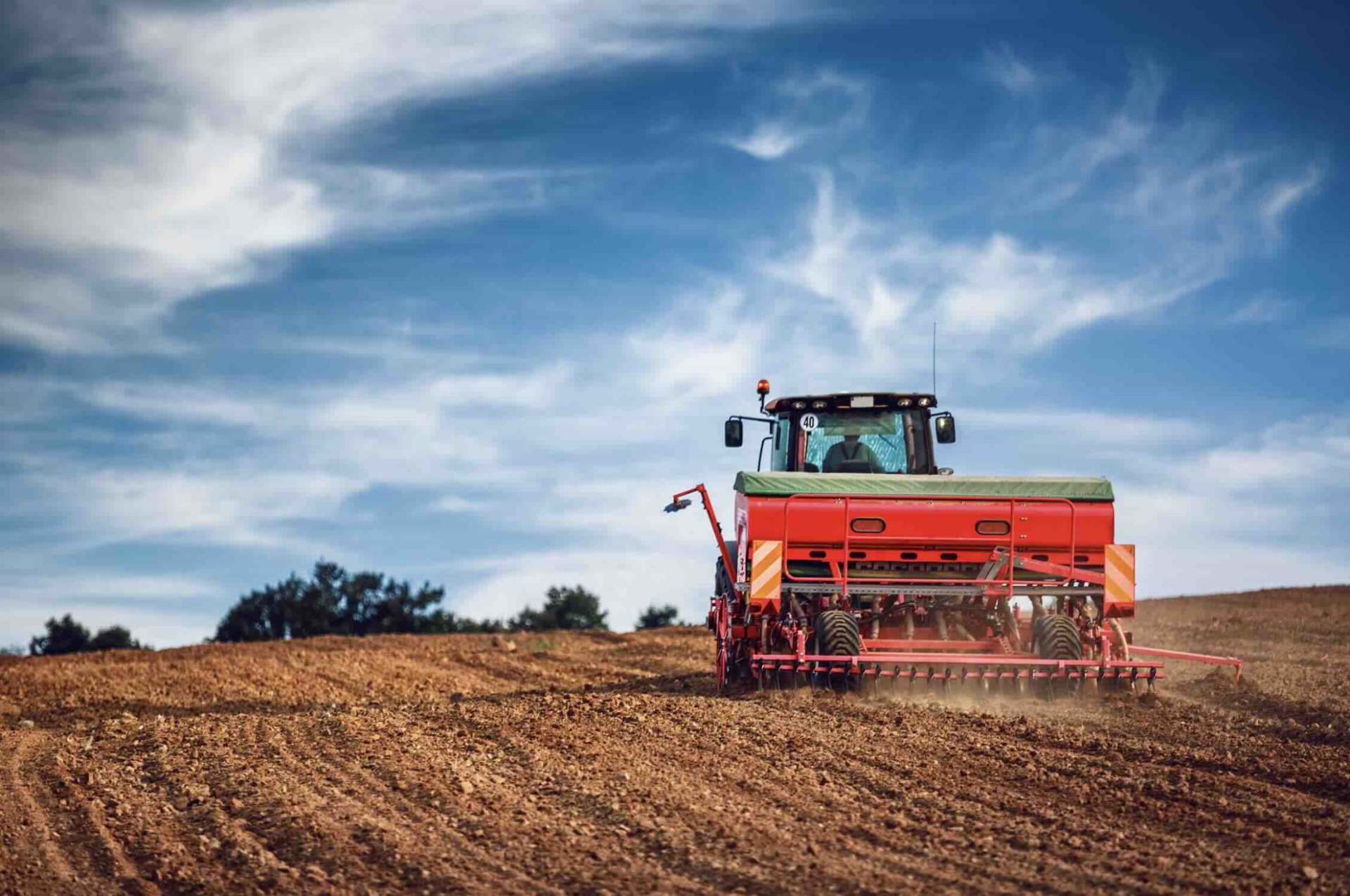 Grandes cultures d’hiver : 6,3 millions d’hectares emblavés, le blé dur au plus bas