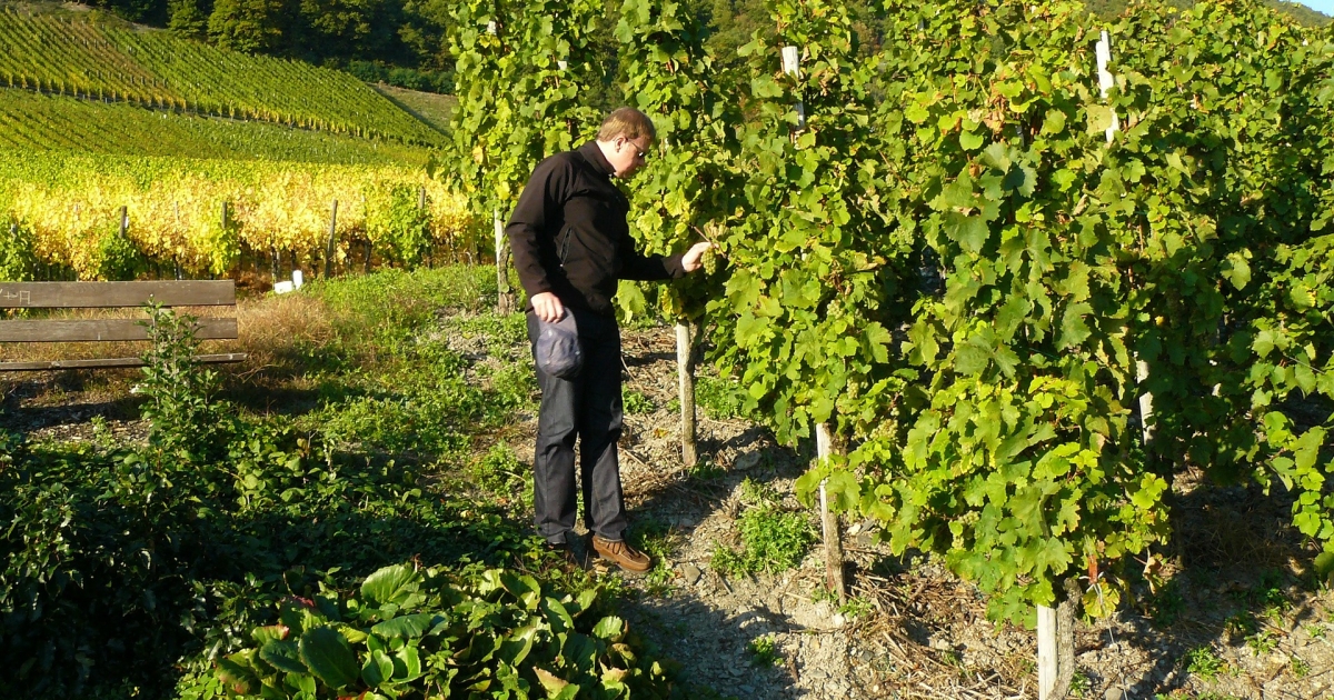 Le Fascinant Week-End De Retour En Auvergne-Rhône-Alpes - L'Agriculture ...