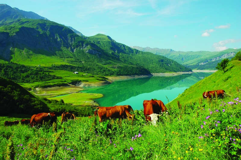 Les Alpes et le pastoralisme en chiffres